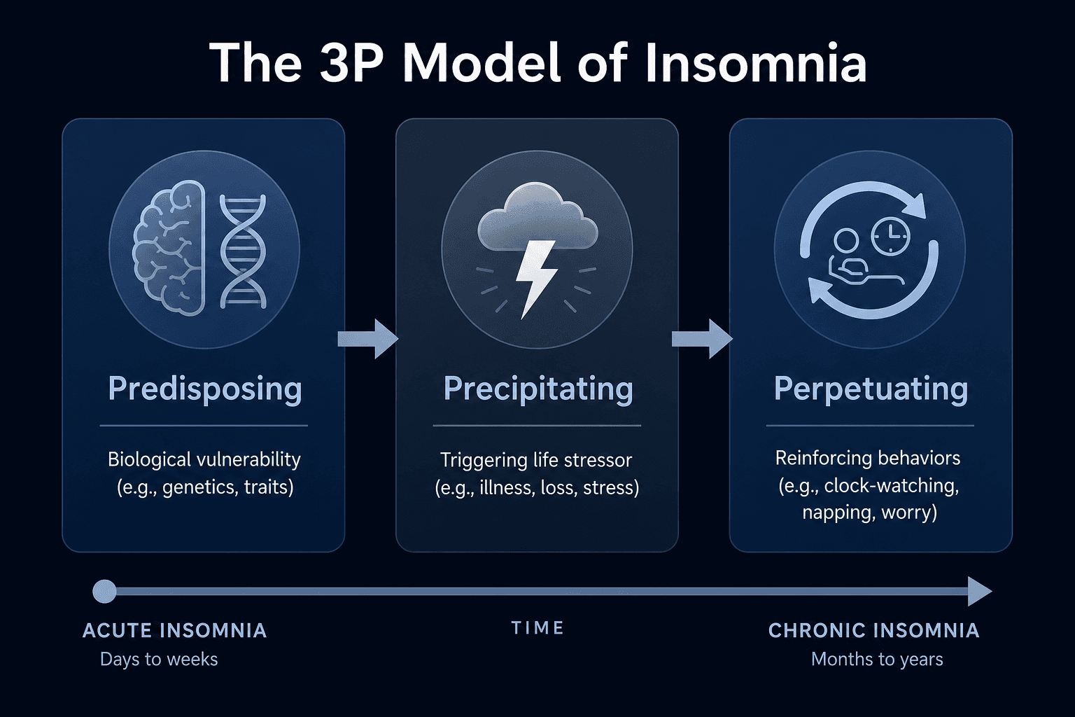 A three-column diagram showing the 3P model of insomnia: Predisposing, Precipitating, and Perpetuating factors connected by a directional arrow.