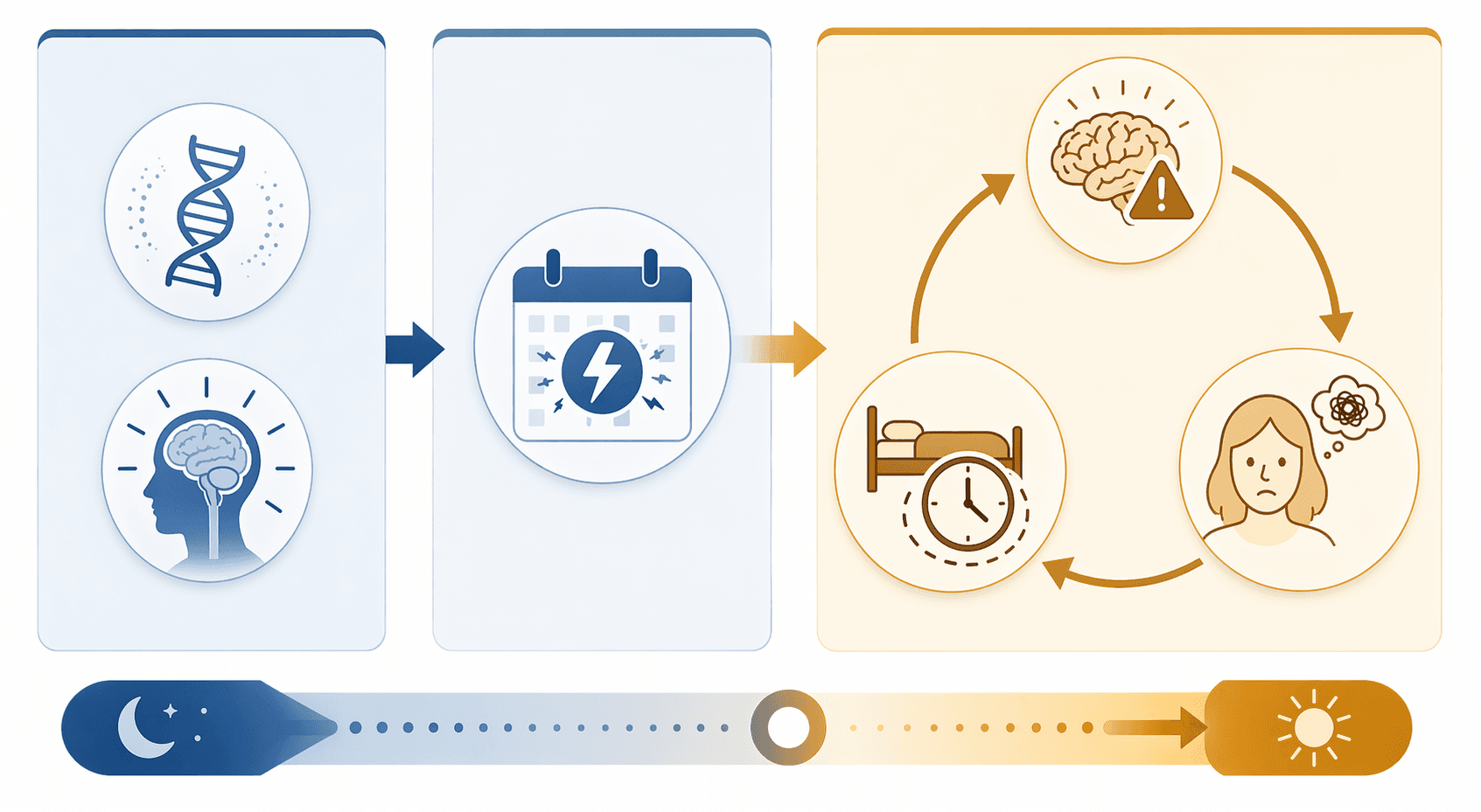 Diagram of the 3P model showing predisposing, precipitating, and perpetuating factors in insomnia