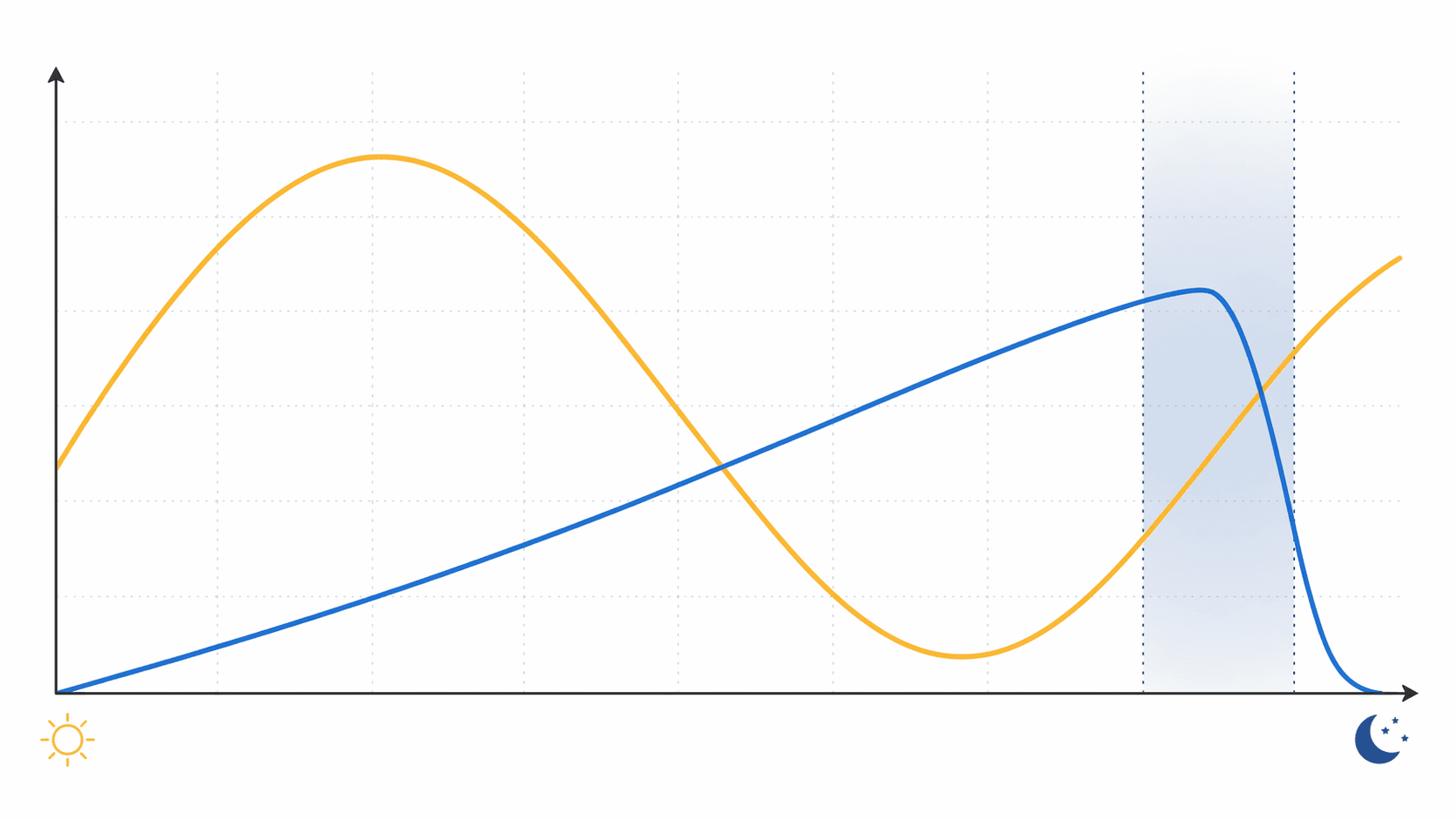 Diagram showing circadian timing and homeostatic sleep drive converging near the optimal sleep window