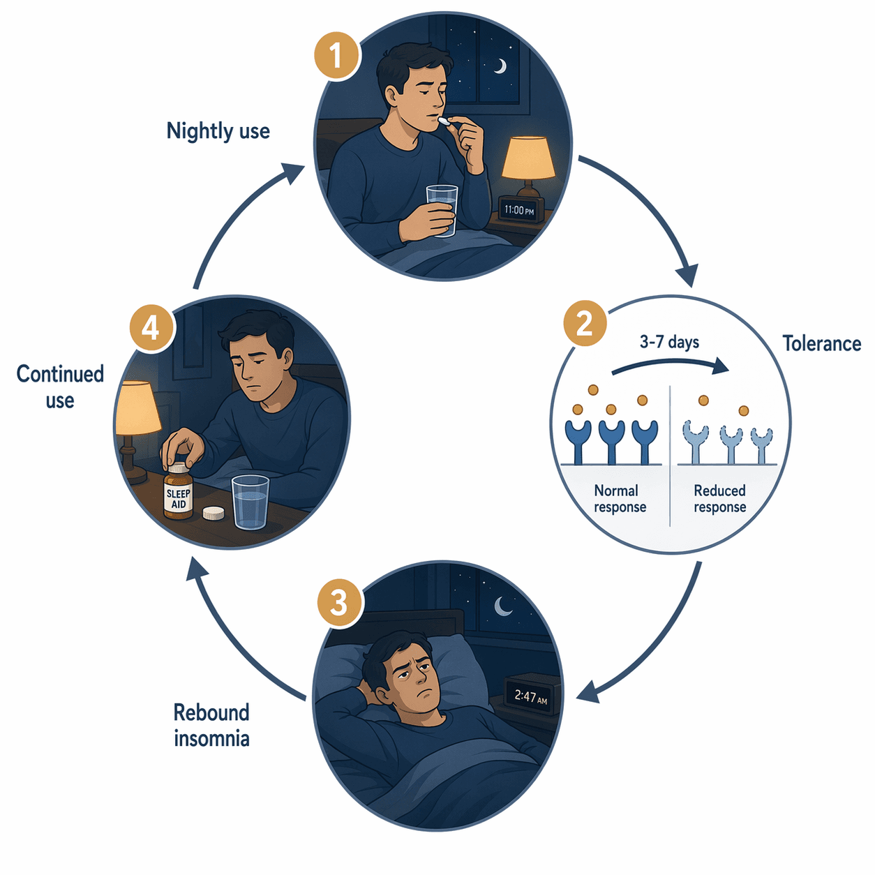 Circular diagram showing nightly sleep aid use, tolerance after 3 to 7 days, rebound insomnia, and reaching for the pill again