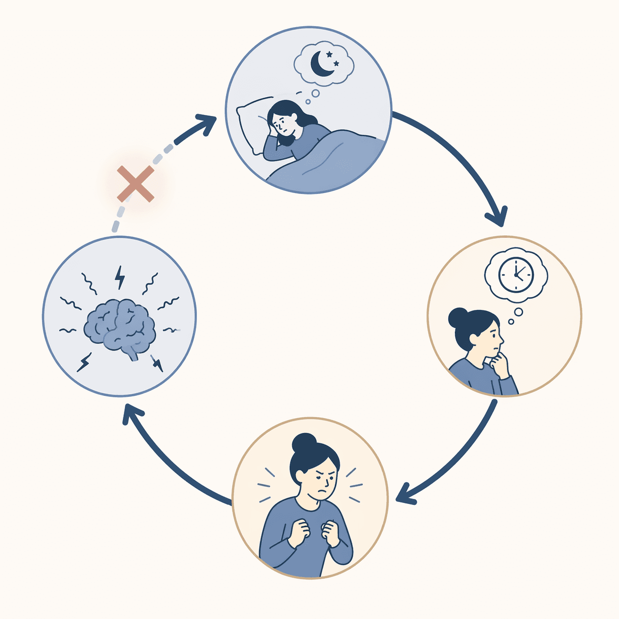 A minimalist circular diagram showing attention, monitoring, effort, and arousal feeding each other in a wakefulness loop.