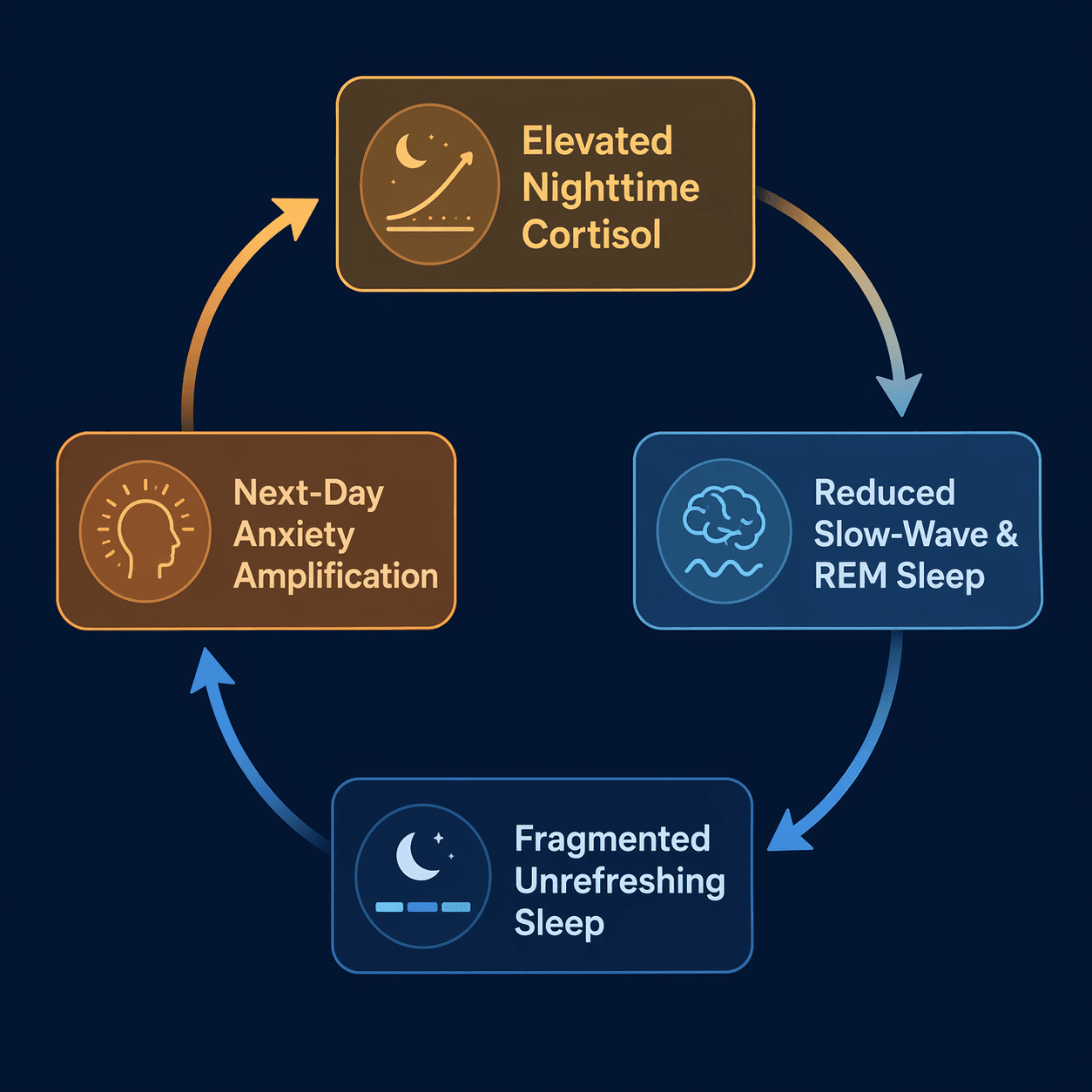 A cyclical flow diagram showing a downward cascade: elevated nighttime cortisol arrows to reduced slow-wave and REM sleep, which arrows to fragmented unrefreshing sleep, which arrows to next-day anxiety amplification, which loops back up to elevated cortisol, forming a bidirectional vicious circle.