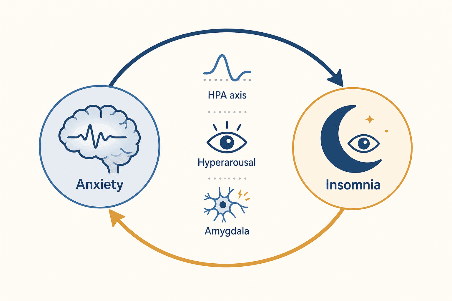 Diagram showing two circular nodes labeled anxiety and insomnia connected by bidirectional arrows, with icons representing stress hormone activation, hyperarousal, and neural reactivity between them.