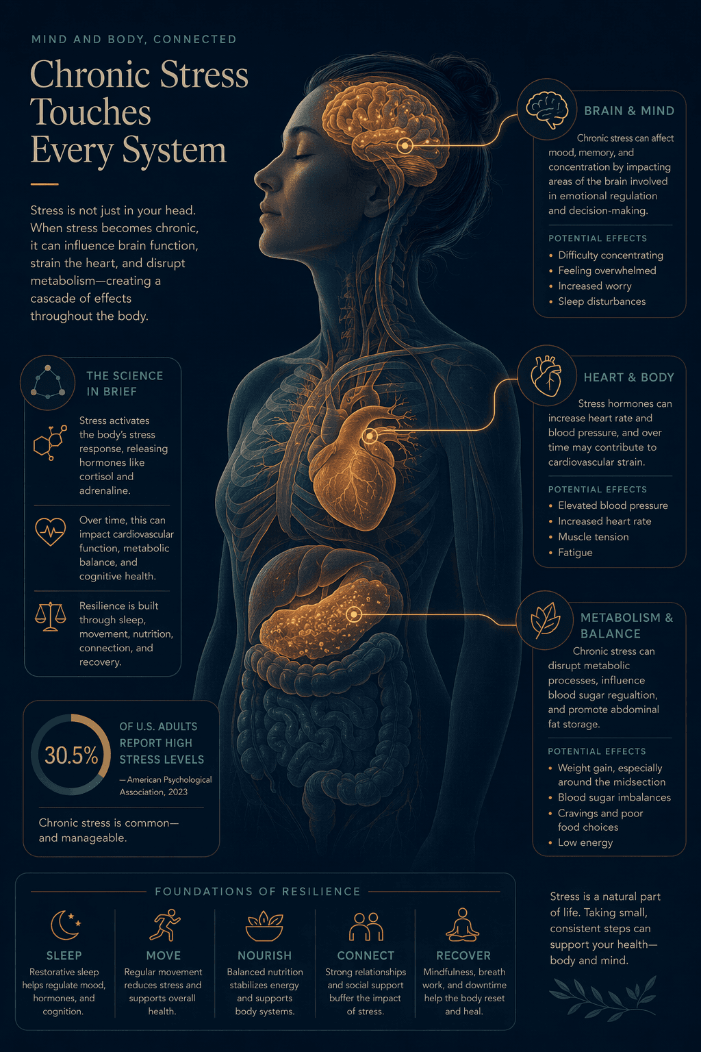 A dark navy infographic-style illustration showing a human silhouette in cross-section with glowing teal and amber lines connecting the brain, heart, and abdomen area. The figure has eyes closed in a restful pose, but warm amber tones subtly indicate strain in the connected body systems. A small '30.5%' data callout appears in the corner.