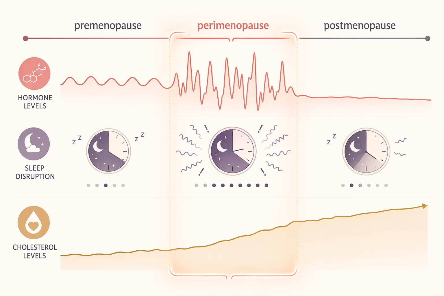 Timeline showing hormones, sleep disruption, and cholesterol converging during perimenopause