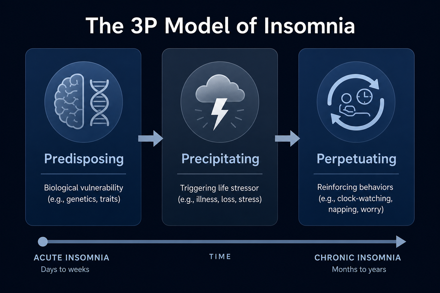 A three-column diagram showing the 3P model of insomnia: Predisposing, Precipitating, and Perpetuating factors connected by a directional arrow.