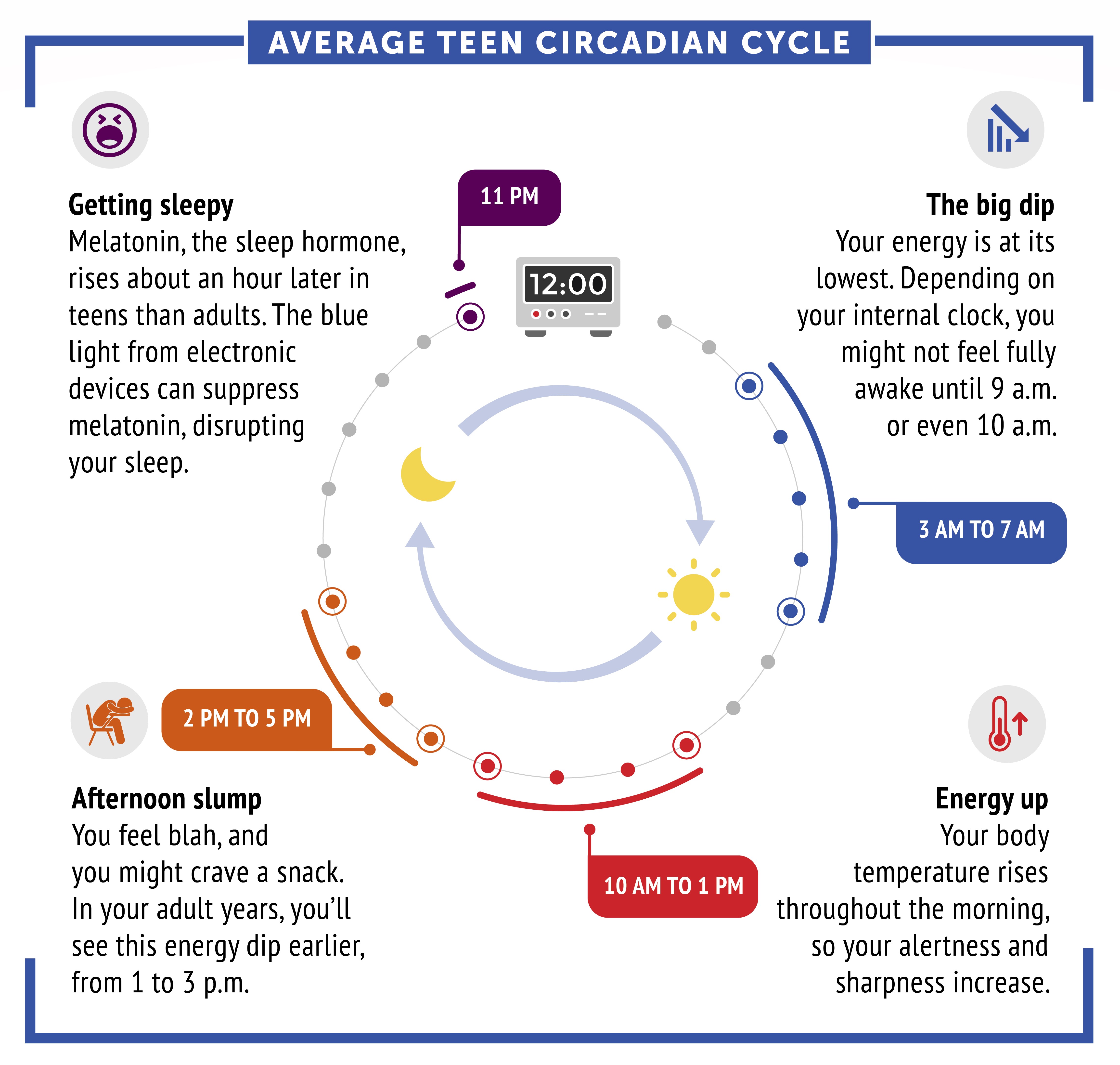 NIH infographic showing the average teen circadian cycle