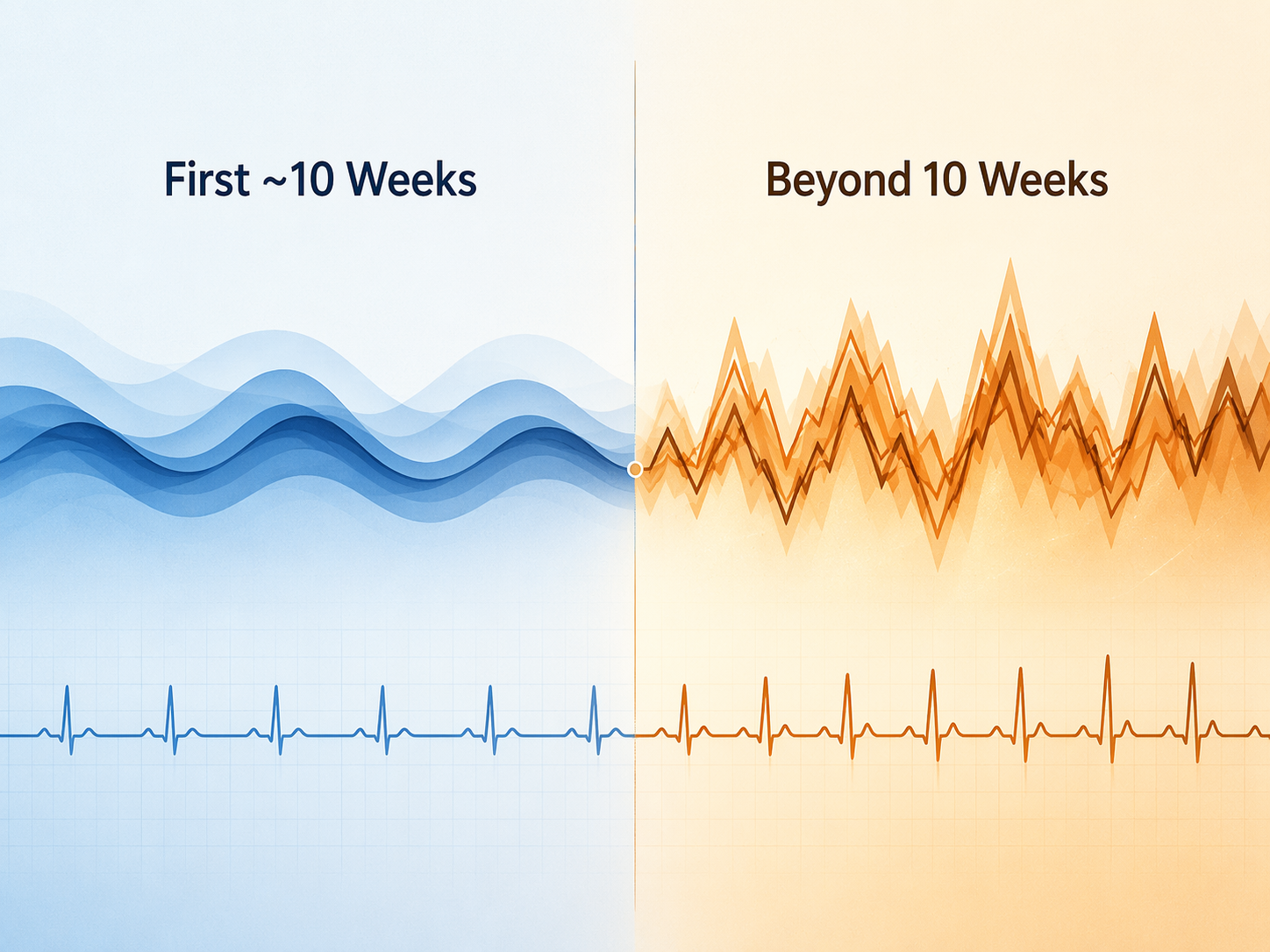 Timeline showing the first 10 weeks after separation as acute stress and the period beyond 10 weeks as persistent sleep disruption with rising cardiovascular concern