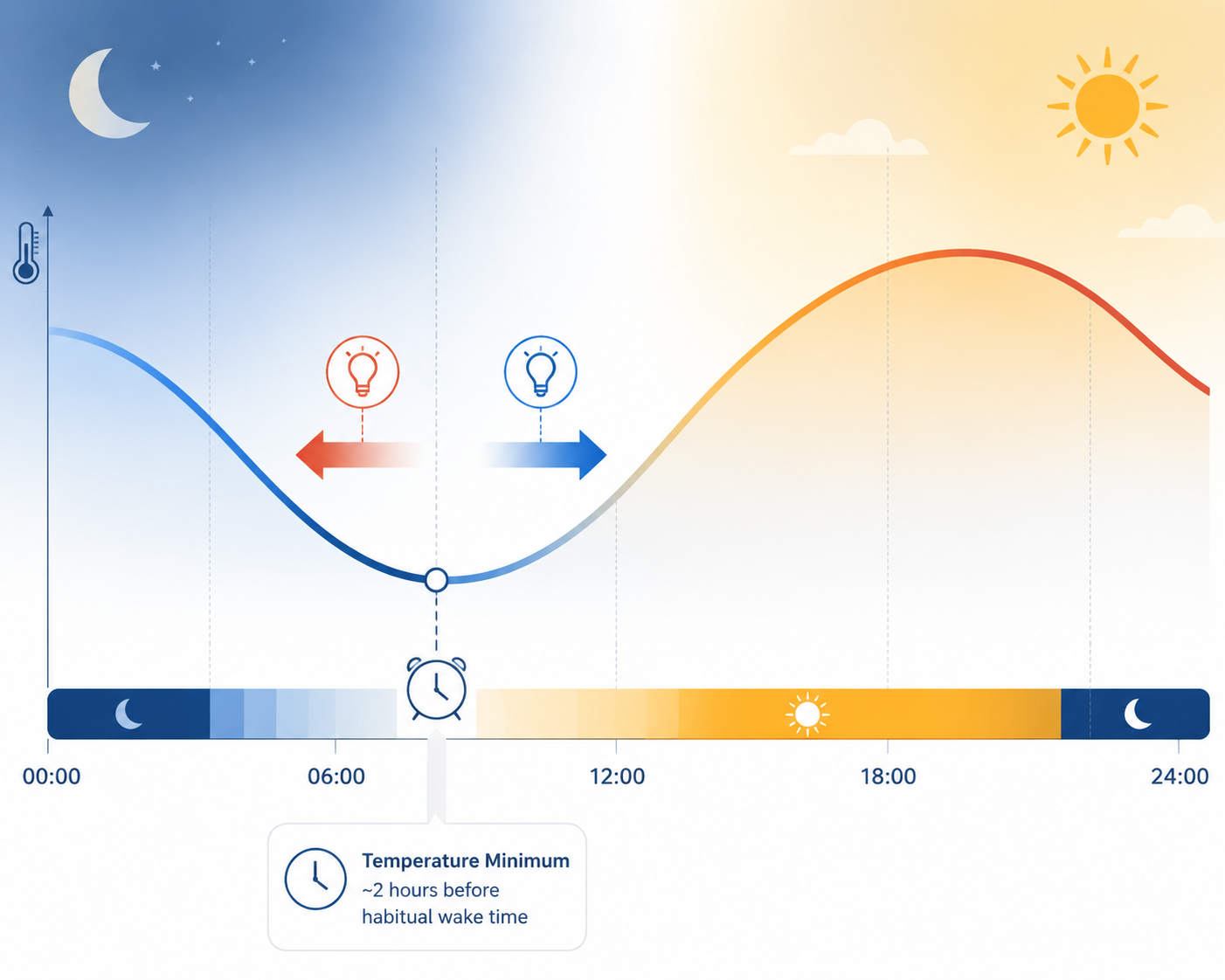 Circadian body temperature curve showing light before and after the temperature minimum