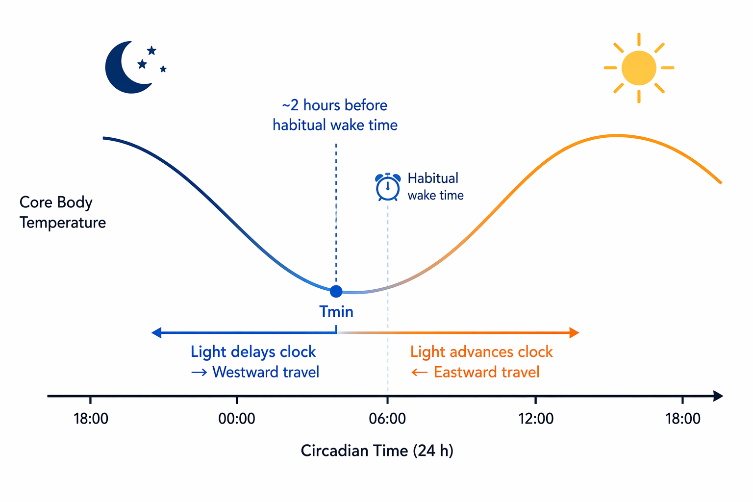 Circadian wave showing temperature minimum and how light advances or delays the clock