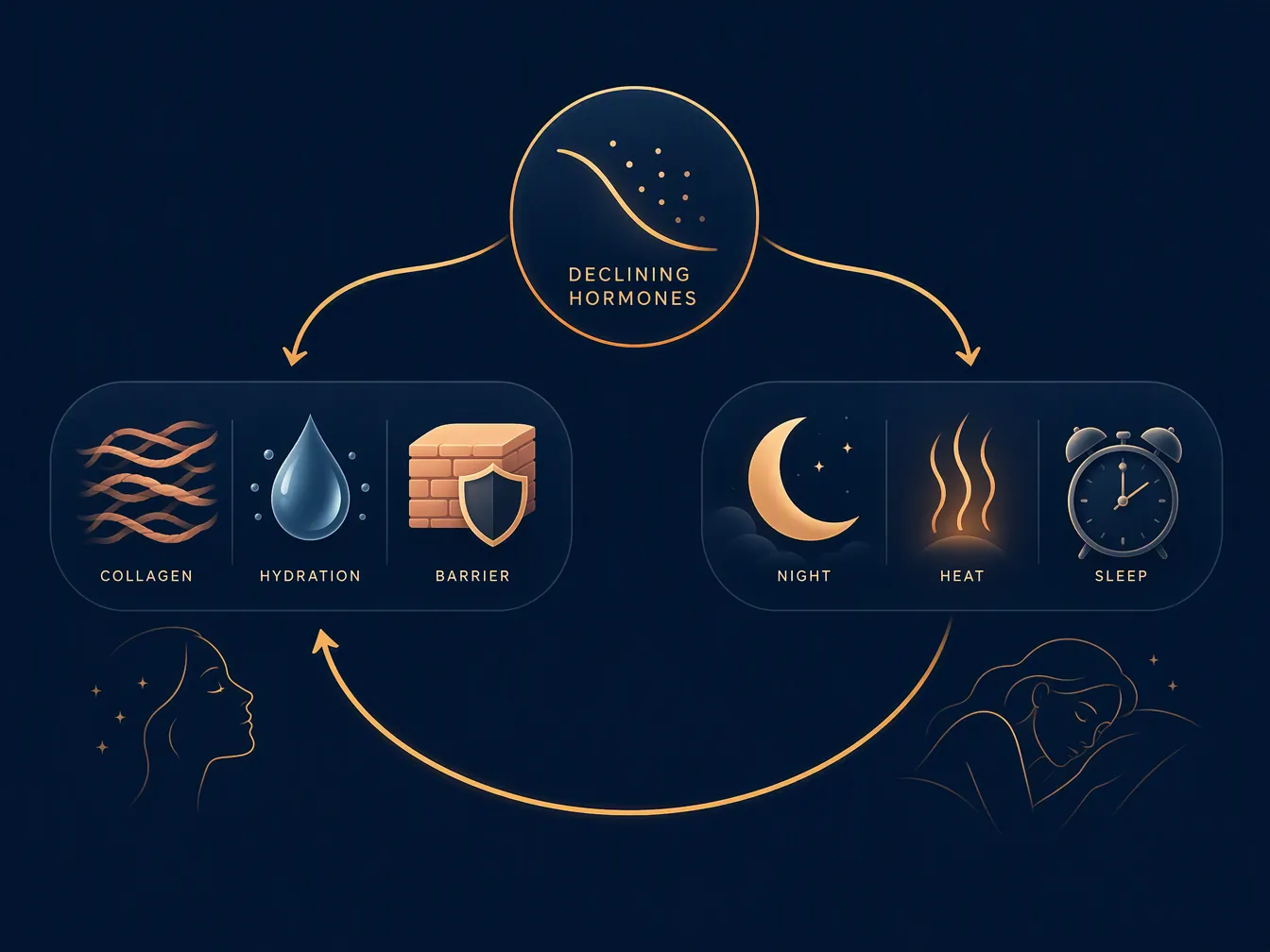 Diagram showing hormones branching toward skin repair and sleep regulation with sleep feeding back into skin function