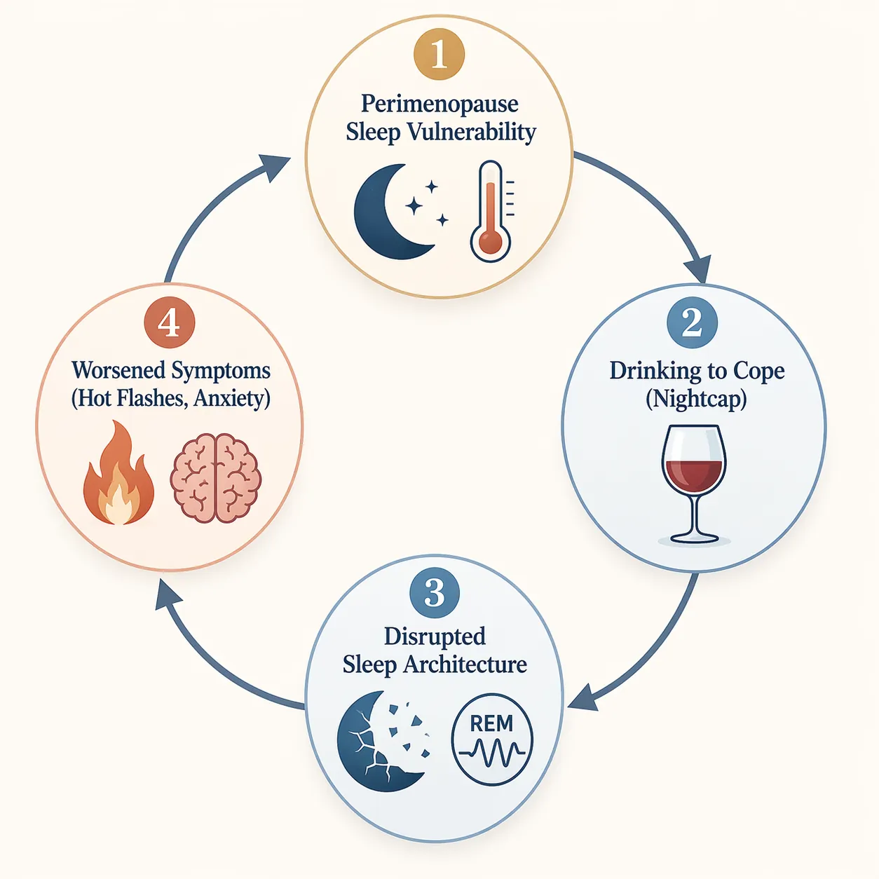 Circular diagram showing perimenopause sleep vulnerability, drinking to cope, disrupted sleep architecture, and worsened symptoms