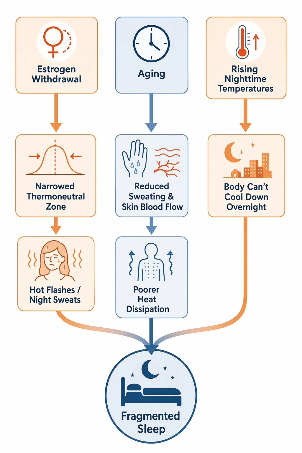 Diagram showing estrogen withdrawal, aging, and rising nighttime temperatures converging into fragmented sleep