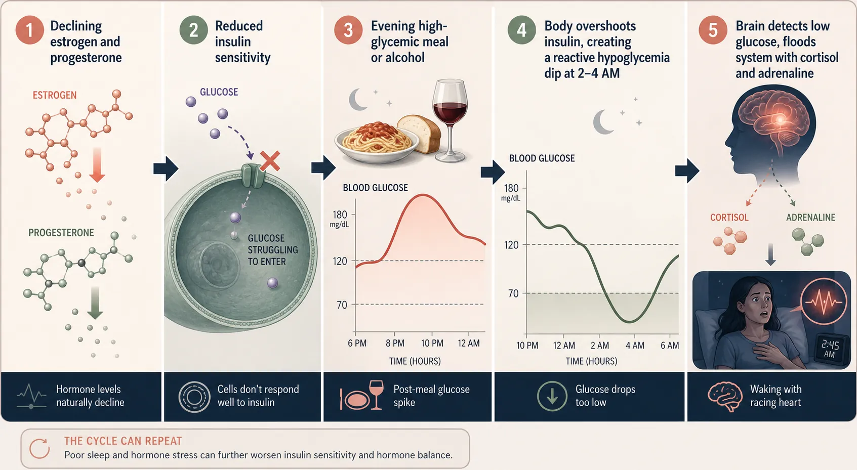 Diagram showing declining sex hormones, reduced insulin sensitivity, evening glucose spike, reactive low, and stress hormone waking