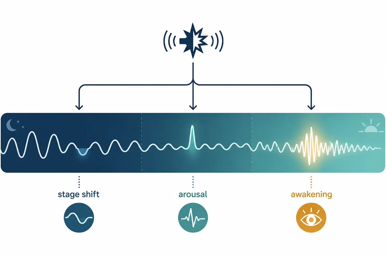 Diagram of a sleep wave struck by a sound pulse branching into stage shift, arousal, and awakening outcomes