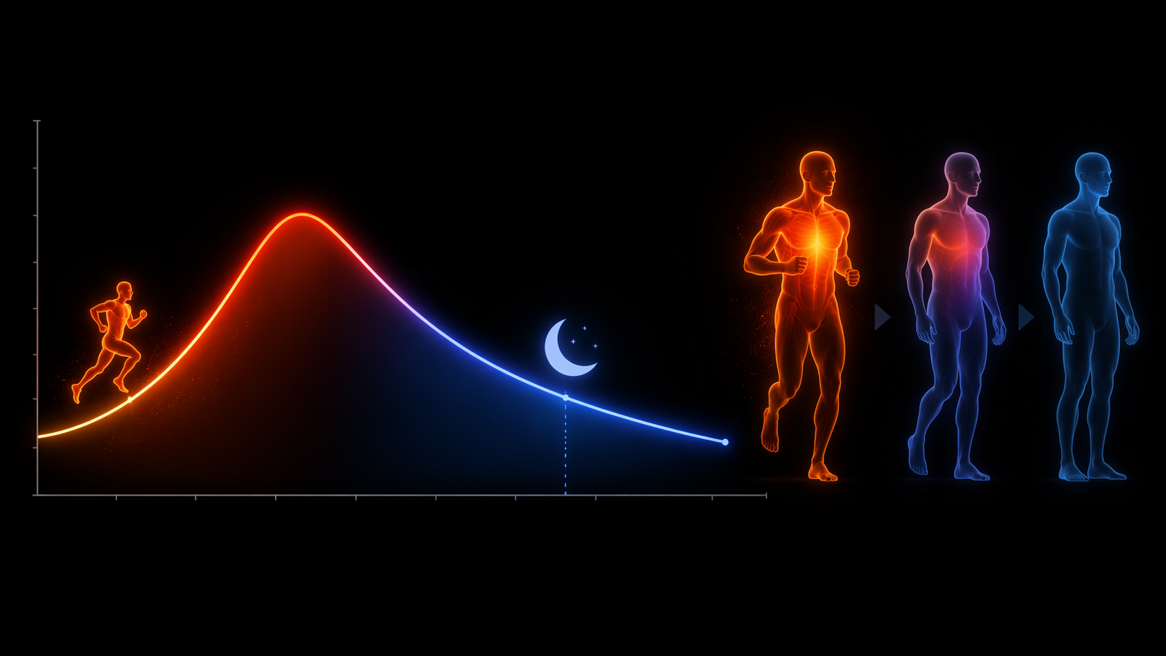 Exercise body temperature curve rising during activity and falling during the 30 to 90 minutes afterward