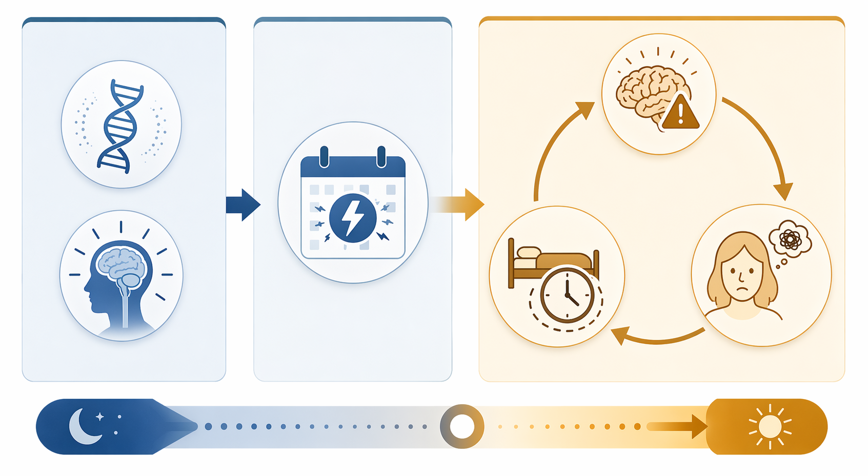 Diagram of the 3P model showing predisposing, precipitating, and perpetuating factors in insomnia