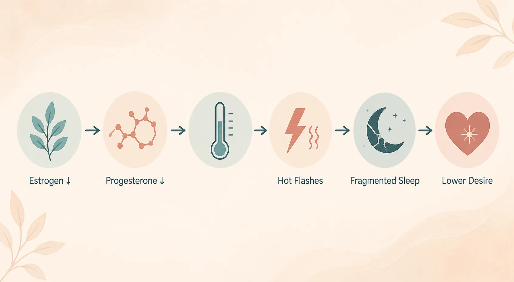 Pathway diagram showing declining estrogen and progesterone leading to hot flashes, fragmented sleep, and lower desire