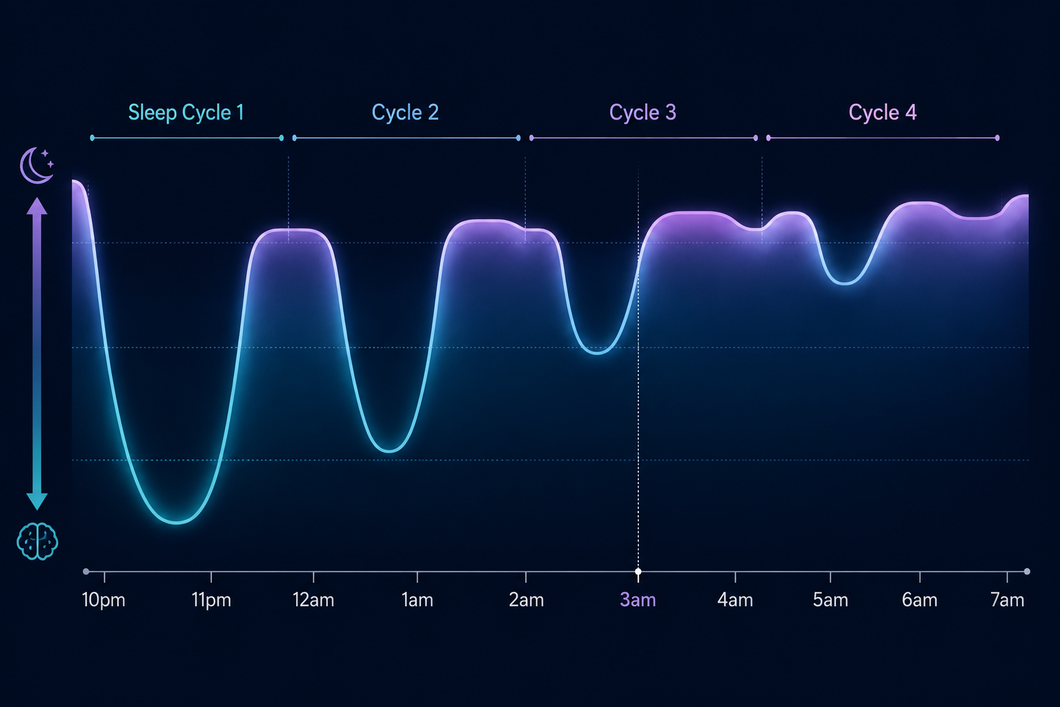 Medical-style overnight sleep architecture diagram showing later sleep cycles becoming lighter near 3am