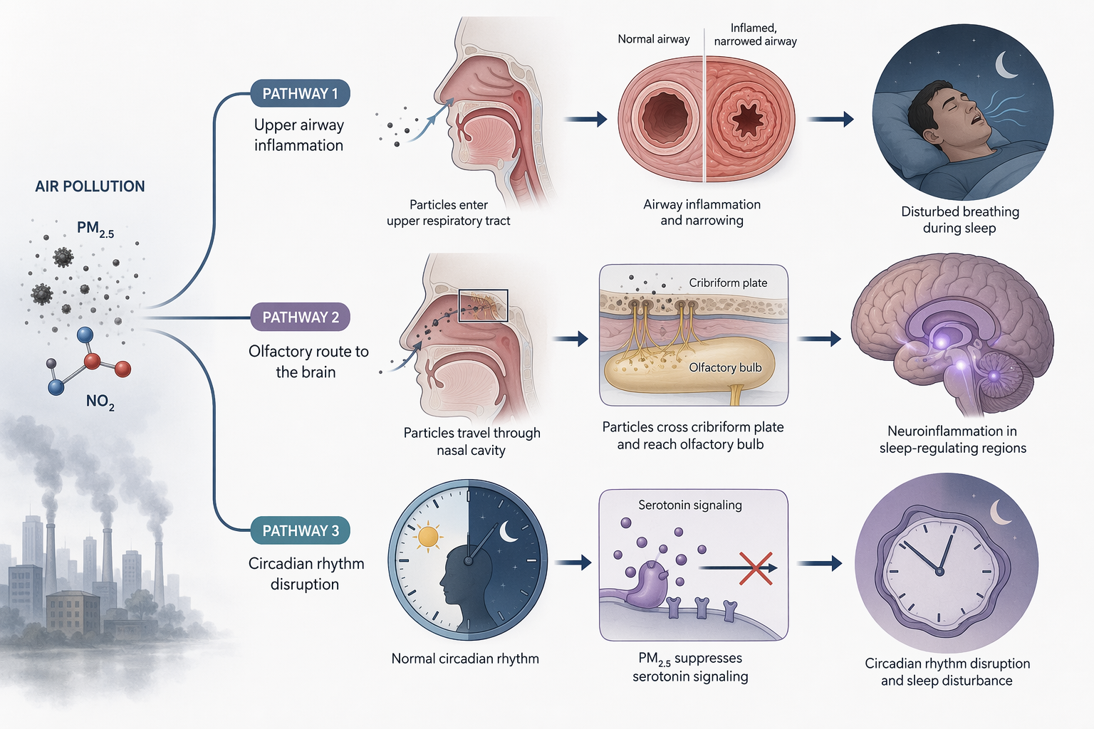 Diagram of respiratory inflammation, neurotoxicity, and circadian disruption pathways from air pollution to sleep disruption