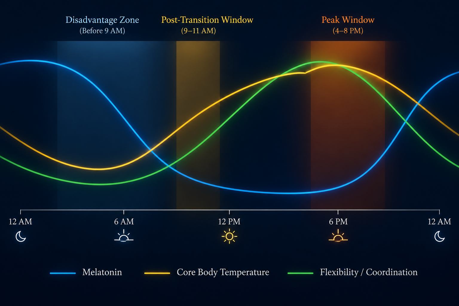 Circadian rhythm infographic showing melatonin, core body temperature, and coordination curves across the day