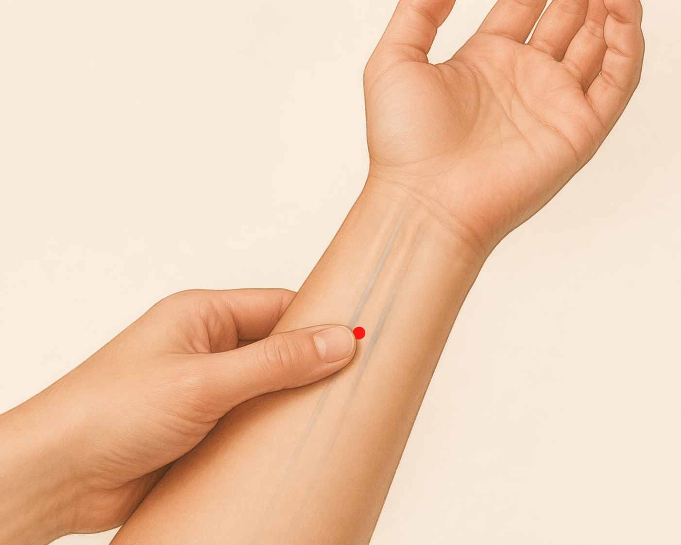 Forearm illustration showing the P6 acupressure point below the wrist crease